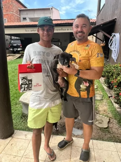 Dia a Dia do Canil
