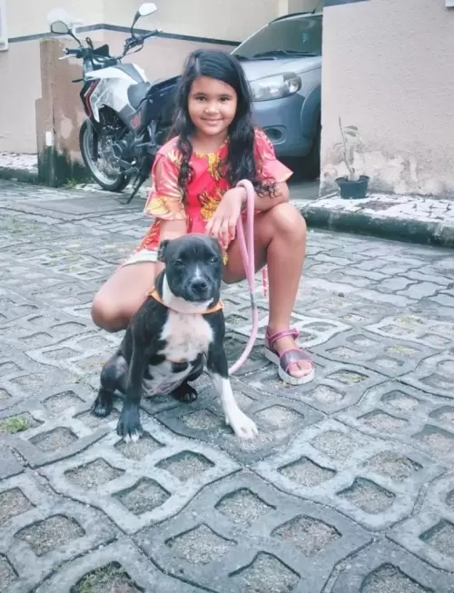 Dia a Dia do Canil