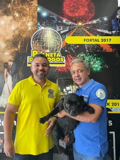Dia a Dia do Canil