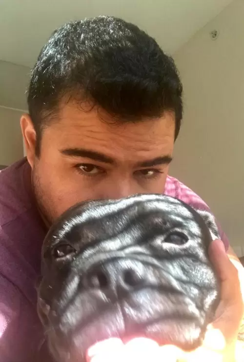 Dia a Dia do Canil