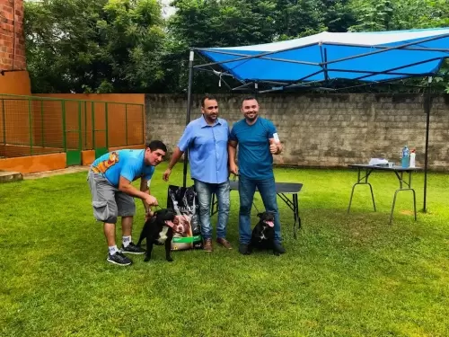 Dia a Dia do Canil