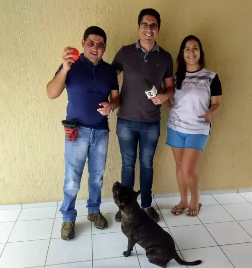 Dia a Dia do Canil