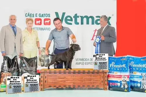 Dia a Dia do Canil